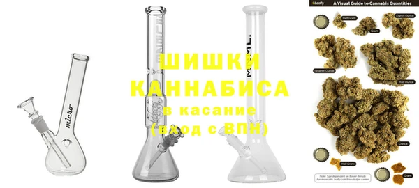 прущие грибы Бугульма