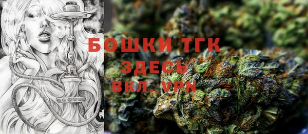 прущие грибы Бугульма