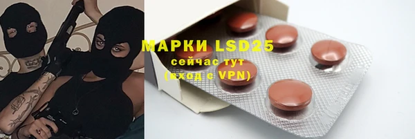 прущие грибы Бугульма