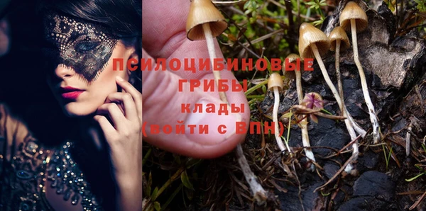 MESCALINE Бородино