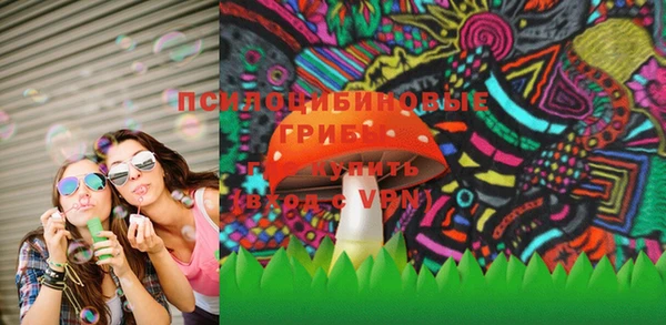 гашик Бронницы