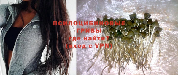 MESCALINE Бородино