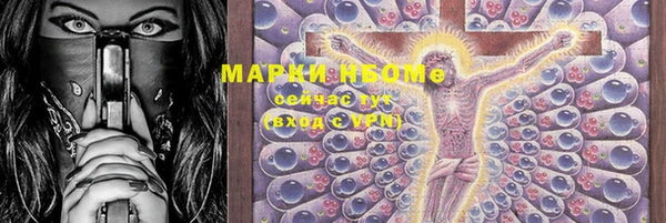 прущие грибы Бугульма
