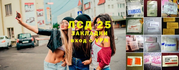MESCALINE Бородино