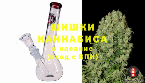 гашик Бронницы