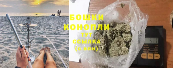 прущие грибы Бугульма
