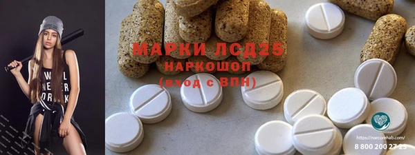 прущие грибы Бугульма