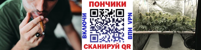 Бошки Шишки семена  Купить  Воркута 