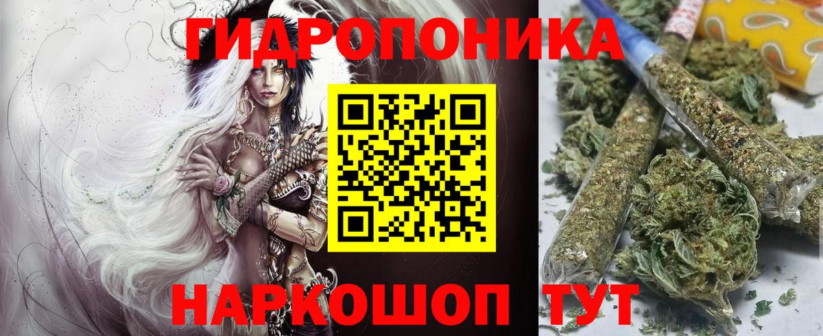 Канабис OG Kush Воркута